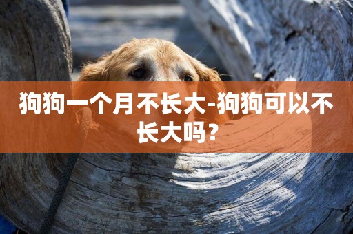狗狗一個月不長大-狗狗可以不長大嗎？