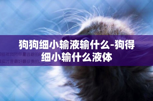 狗狗細小輸液輸什么-狗得細小輸什么液體