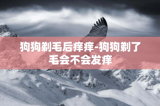 狗狗剃毛后癢癢-狗狗剃了毛會不會發癢