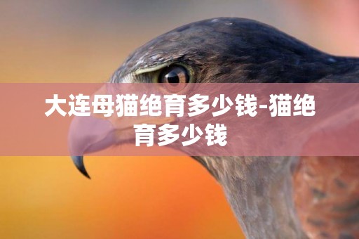 大連母貓絕育多少錢-貓絕育多少錢