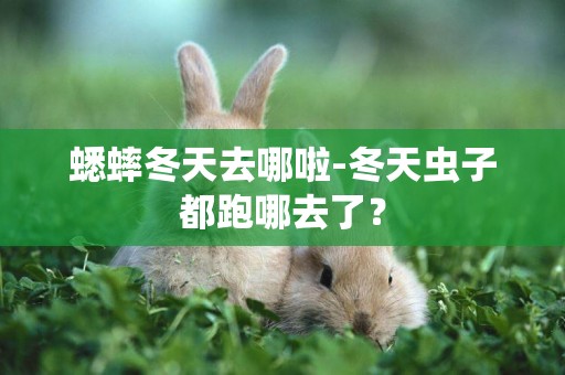 蟋蟀冬天去哪啦-冬天蟲子都跑哪去了？