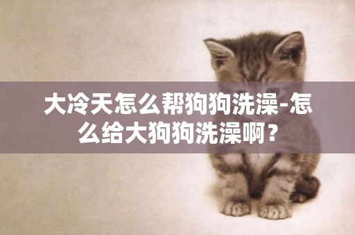 大冷天怎么幫狗狗洗澡-怎么給大狗狗洗澡啊？