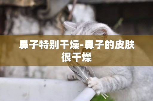 鼻子特別干燥-鼻子的皮膚很干燥