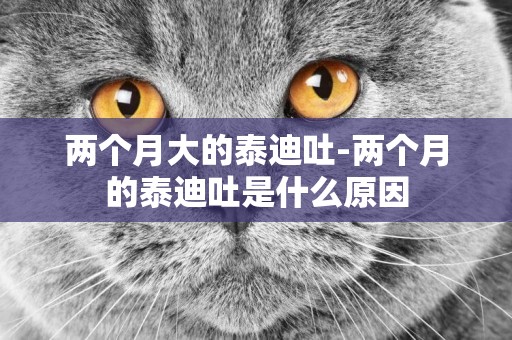 兩個月大的泰迪吐-兩個月的泰迪吐是什么原因