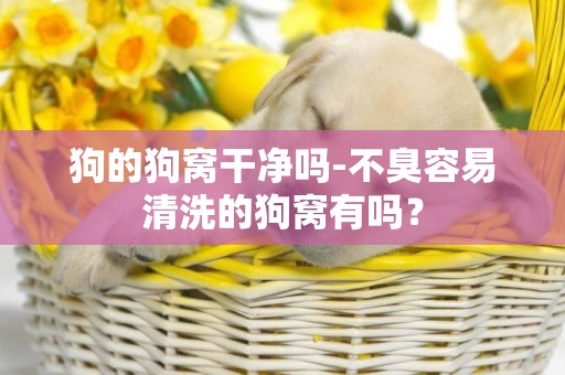 狗的狗窩干凈嗎-不臭容易清洗的狗窩有嗎？
