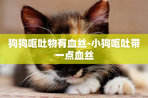 狗狗嘔吐物有血絲-小狗嘔吐帶一點血絲