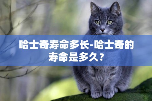 哈士奇壽命多長-哈士奇的壽命是多久？