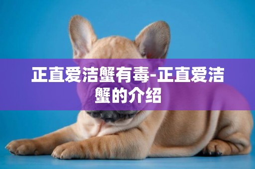 正直愛潔蟹有毒-正直愛潔蟹的介紹