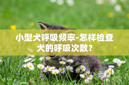 小型犬呼吸頻率-怎樣檢查犬的呼吸次數？