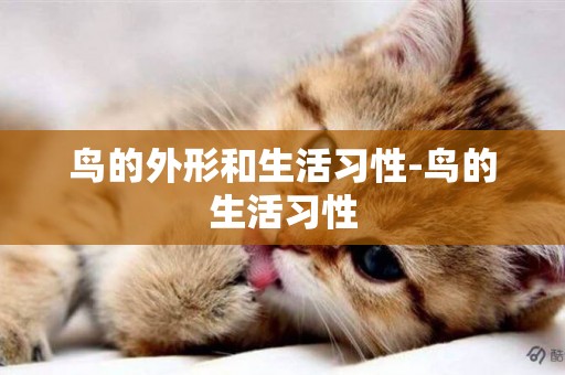 鳥的外形和生活習性-鳥的生活習性