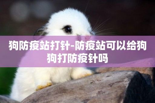 狗防疫站打針-防疫站可以給狗狗打防疫針嗎