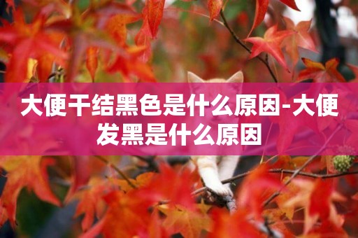 大便干結黑色是什么原因-大便發黑是什么原因