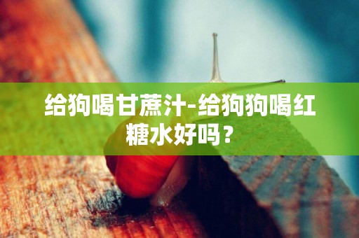 給狗喝甘蔗汁-給狗狗喝紅糖水好嗎？