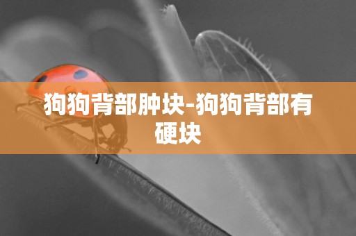 狗狗背部腫塊-狗狗背部有硬塊