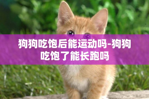 狗狗吃飽后能運動嗎-狗狗吃飽了能長跑嗎