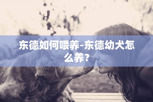 東德如何喂養-東德幼犬怎么養？