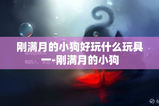 剛滿月的小狗好玩什么玩具一-剛滿月的小狗