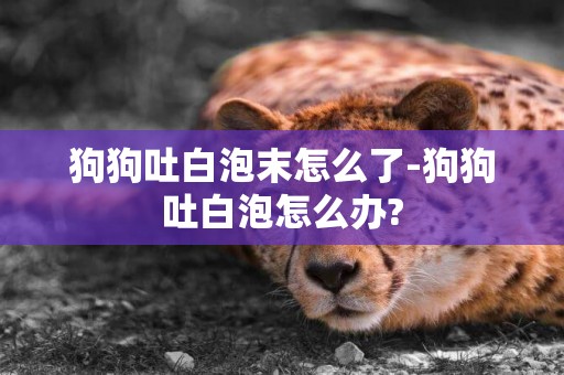 狗狗吐白泡末怎么了-狗狗吐白泡怎么辦?