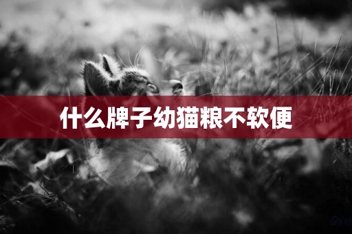 什么牌子幼貓糧不軟便