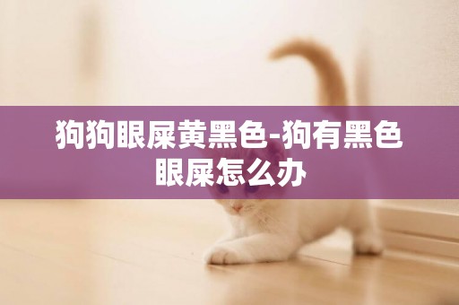 狗狗眼屎黃黑色-狗有黑色眼屎怎么辦