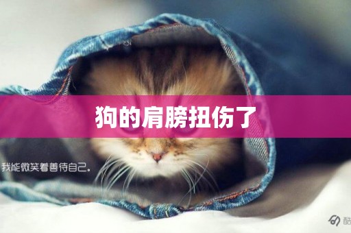 狗的肩膀扭傷了