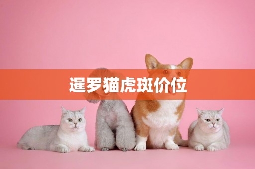暹羅貓虎斑價位