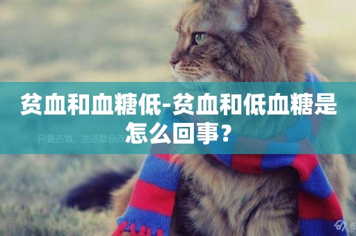 貧血和血糖低-貧血和低血糖是怎么回事？