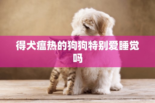 得犬瘟熱的狗狗特別愛睡覺嗎