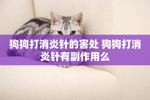 狗狗打消炎針的害處 狗狗打消炎針有副作用么