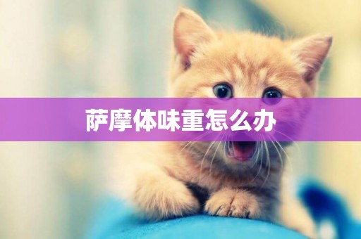 薩摩體味重怎么辦