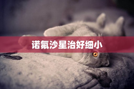 諾氟沙星治好細小