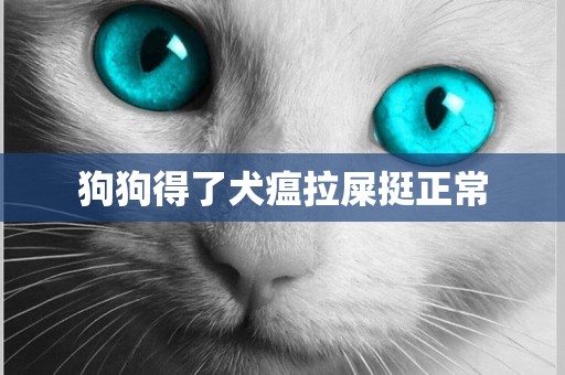 狗狗得了犬瘟拉屎挺正常