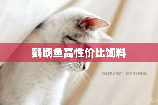 鸚鵡魚高性價比飼料