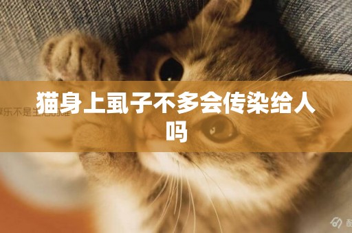 貓身上虱子不多會傳染給人嗎