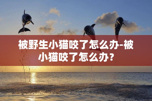 被野生小貓咬了怎么辦-被小貓咬了怎么辦？