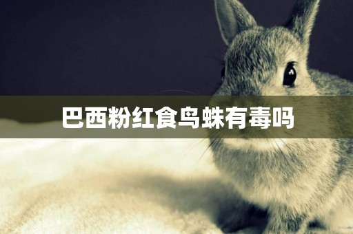 巴西粉紅食鳥蛛有毒嗎