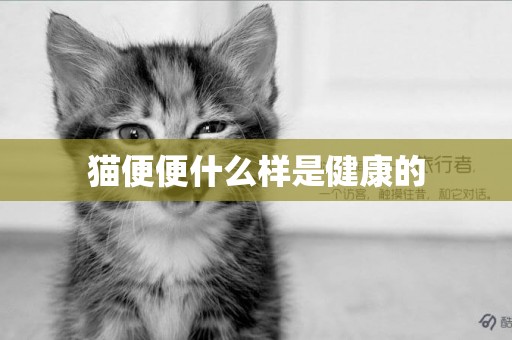 貓便便什么樣是健康的