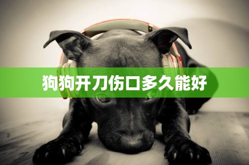 狗狗開刀傷口多久能好