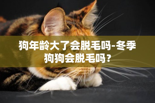 狗年齡大了會脫毛嗎-冬季狗狗會脫毛嗎？