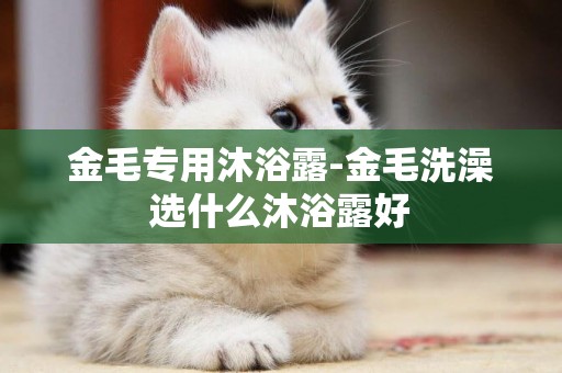 金毛專用沐浴露-金毛洗澡選什么沐浴露好