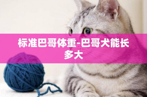 標準巴哥體重-巴哥犬能長多大