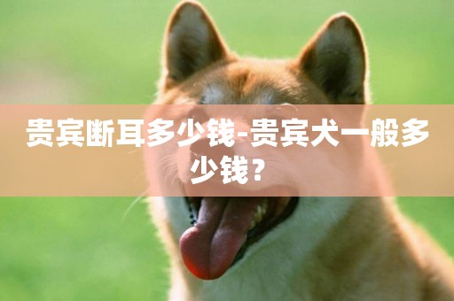 貴賓斷耳多少錢-貴賓犬一般多少錢？