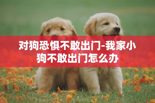 對狗恐懼不敢出門-我家小狗不敢出門怎么辦