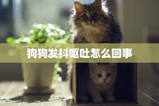 狗狗發抖嘔吐怎么回事
