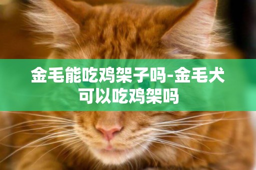 金毛能吃雞架子嗎-金毛犬可以吃雞架嗎