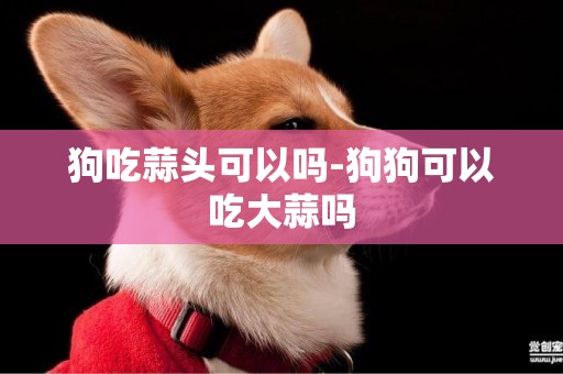 狗吃蒜頭可以嗎-狗狗可以吃大蒜嗎