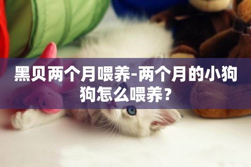 黑貝兩個月喂養-兩個月的小狗狗怎么喂養？