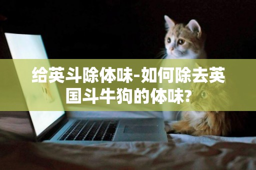 給英斗除體味-如何除去英國斗牛狗的體味?