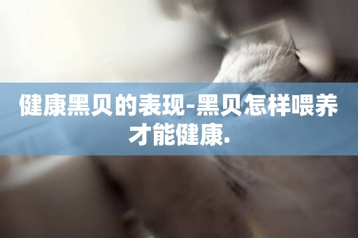 健康黑貝的表現-黑貝怎樣喂養才能健康.