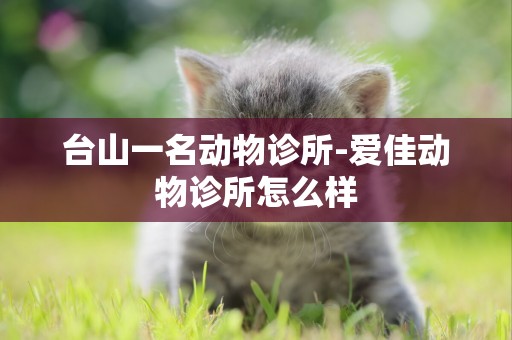 臺山一名動物診所-愛佳動物診所怎么樣